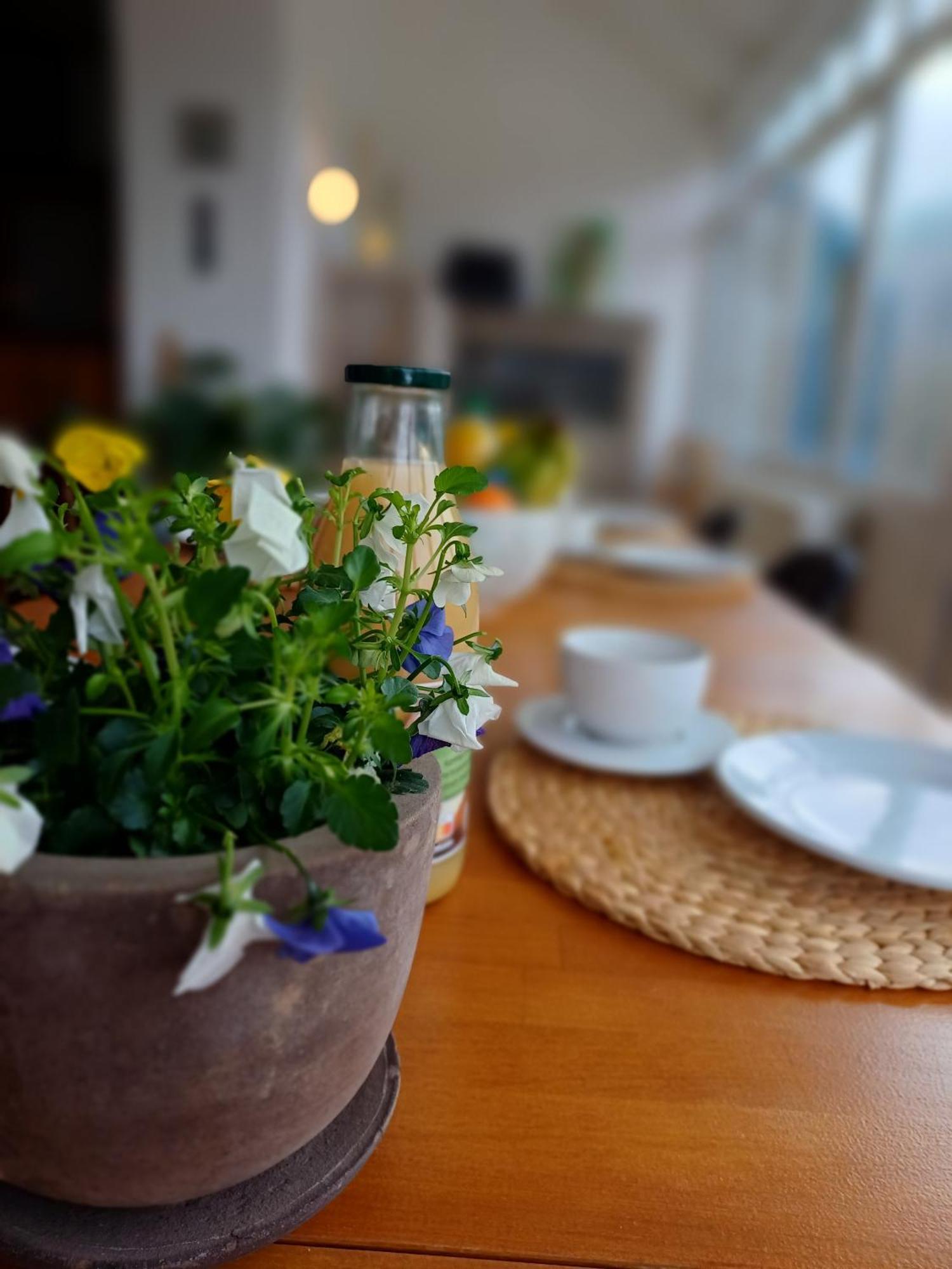 Gite Villa Le Monde - La-Roche-en-Ardenne Εξωτερικό φωτογραφία