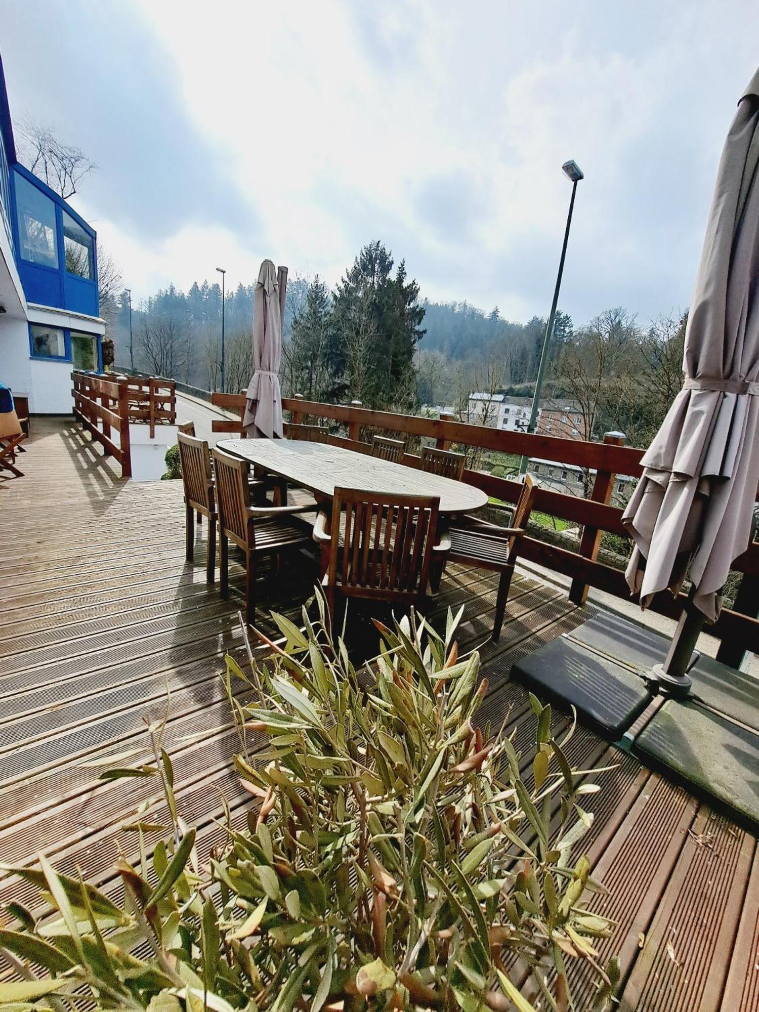 Gite Villa Le Monde - La-Roche-en-Ardenne Εξωτερικό φωτογραφία